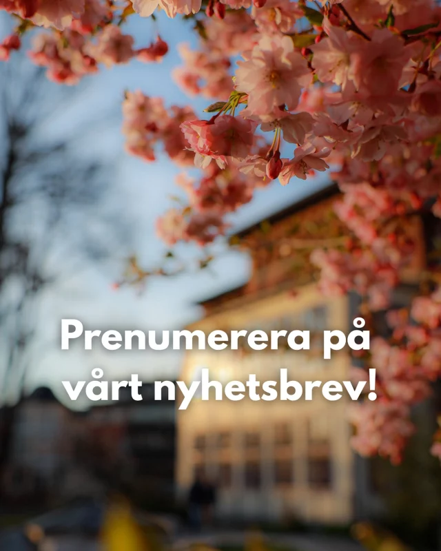 Missa inga nyheter från oss! ✅

I vårt nyhetsbrev tipsar vi om lediga lokaler och berättar om vad som är på gång i och runt våra fastigheter.

Prenumerera via länken i vår bio!